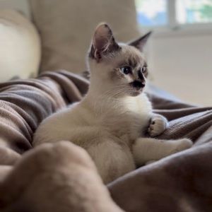 Meet your Posher, Beth